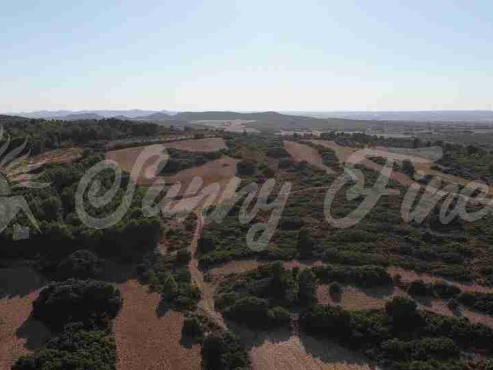 Gårdshus i Almansa, Albacete - bilde 4